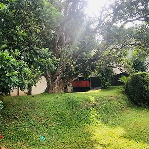 47 Alfred House - Free Pickup From Kandy